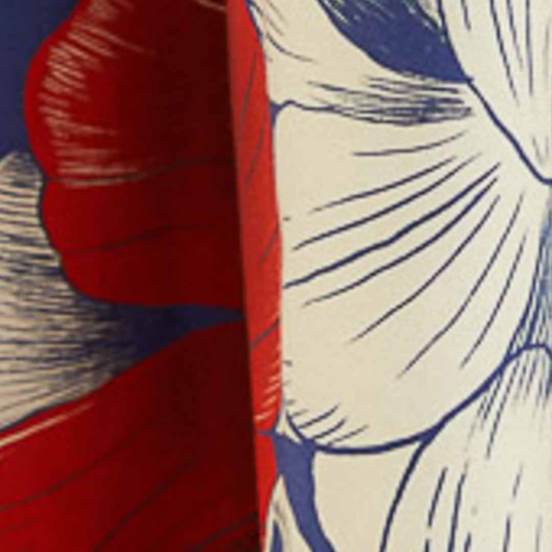 Falda Ampla Vera Lenço