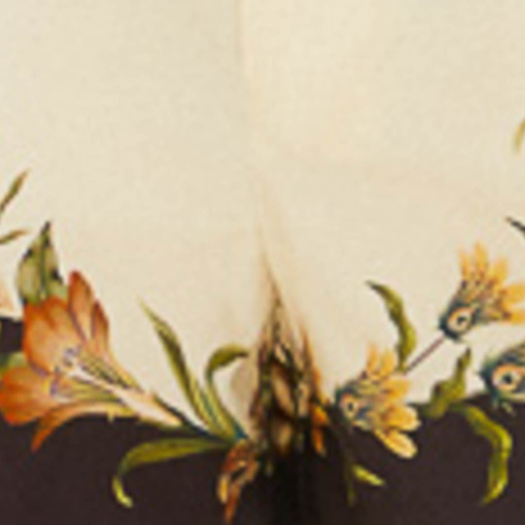 Shorts Estampado Concha Surreal