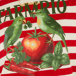 Camiseta Fit Pássaros Tomate