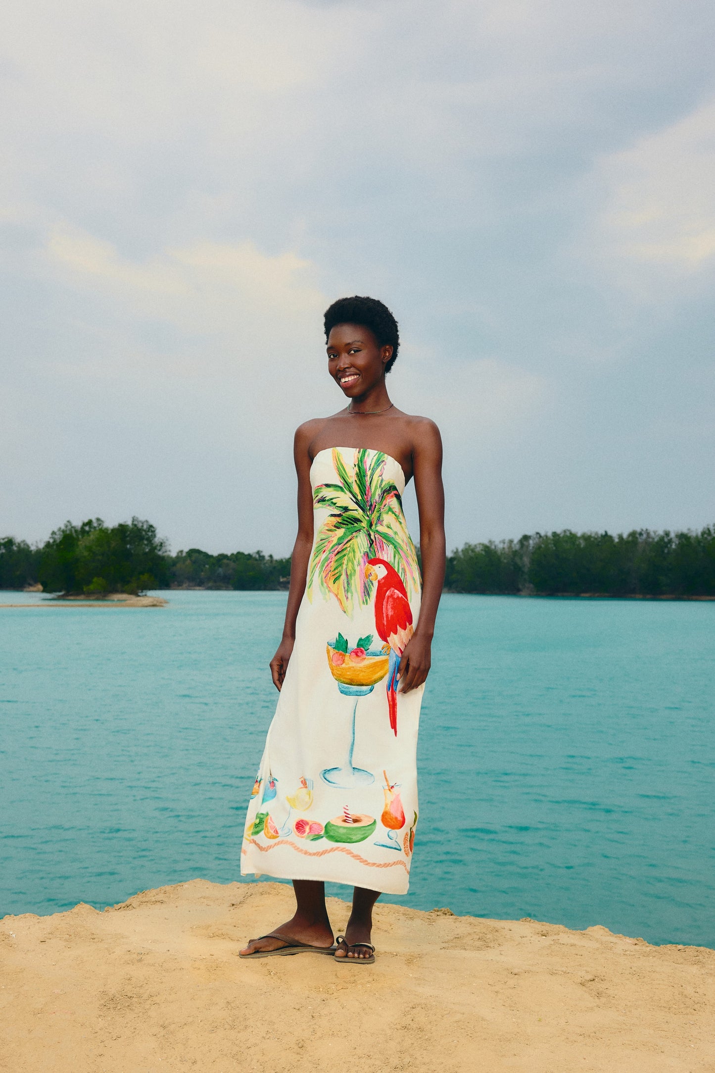 Vestido Tubo Estampado Cóctel