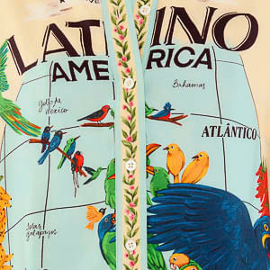 Camisa Estampada Mapa América Latina