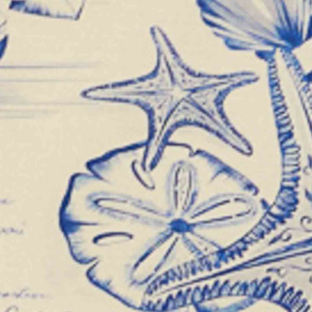 Top Recto aventurero  doble Estampado
