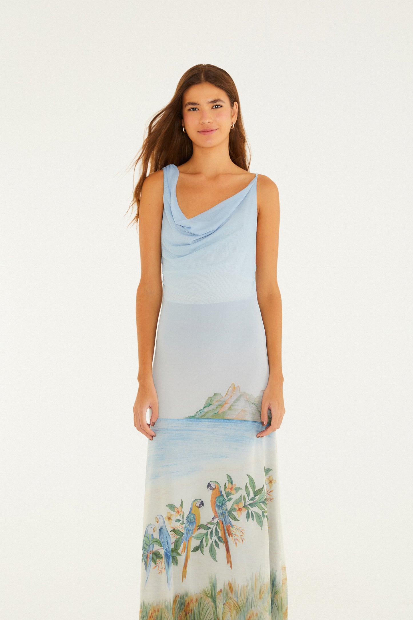 Vestido Tule Degagê Estampado Rio Antigo