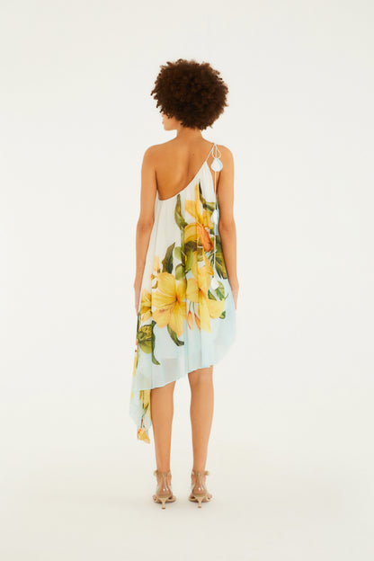 Vestido Midi Estampado Floral Samanta