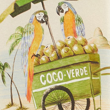 Vestido Midi Estampado Carrinho De Coco