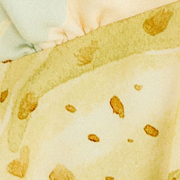 Top Estampado Florie