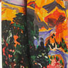 Pantalón Estampado Patagônia