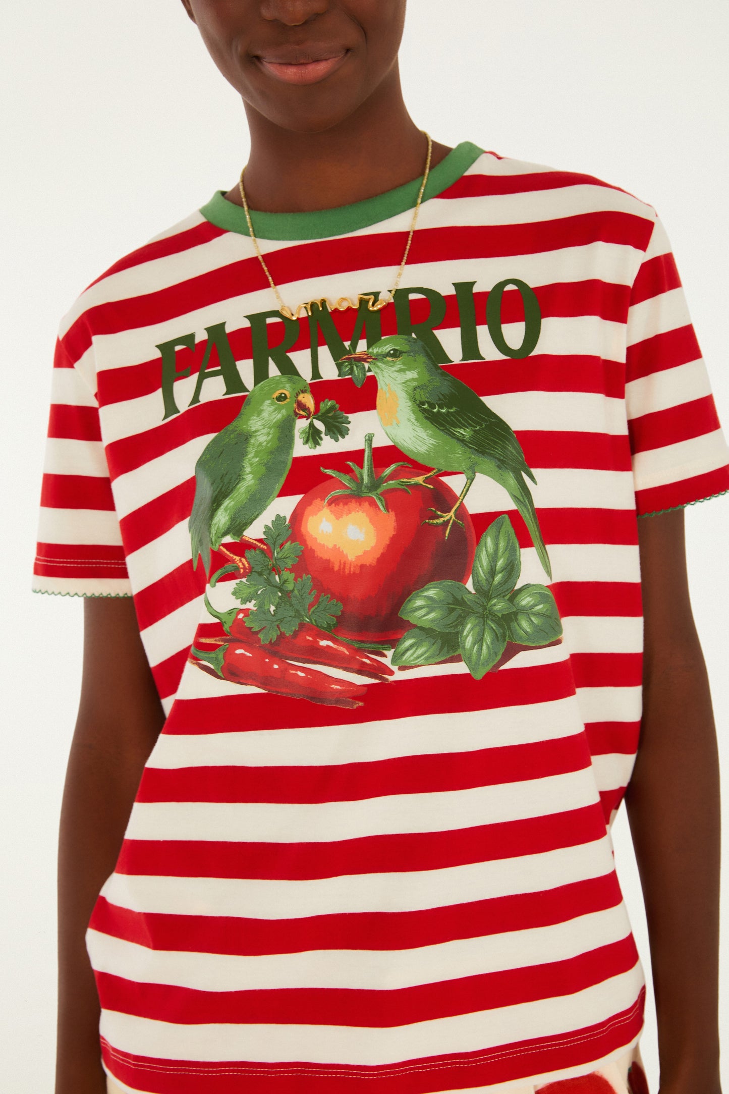 Camiseta Fit Pássaros Tomate